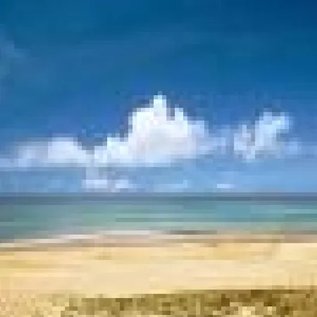 Cosy A 300m De L'ocean Au Coeur De La Station - Balcon Et Parking Securise - Fr-1-239-144 * Сеньос